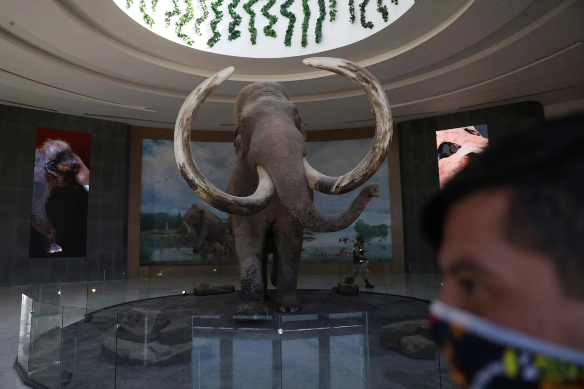 El AIFA tendrá un corredor cultural de museos