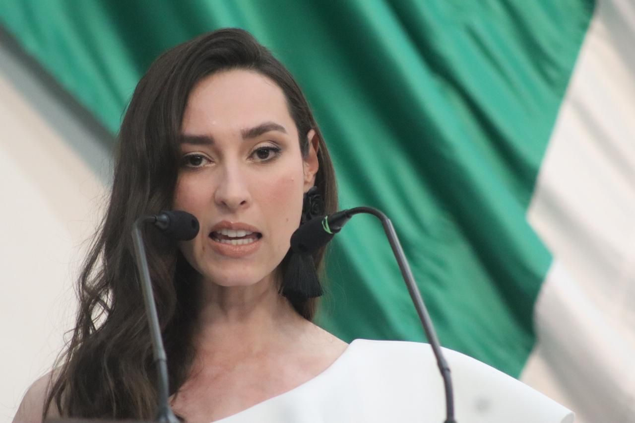 “Enfoquemos el incremento de seguridad pública en los delitos de género, contra menores o grupos vulnerables”: Diputada Lizbeth Ogazón