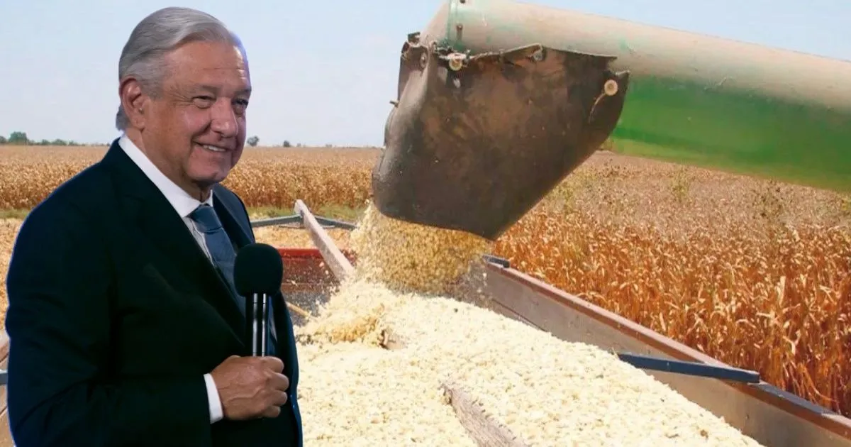 AMLO se prepara para tiempos difíciles y compra 521 mil toneladas de maíz