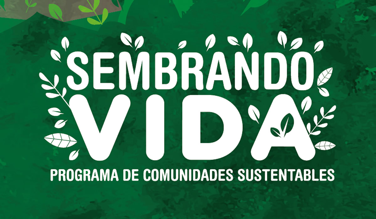 Sembrando Vida suma 447 mil 296 beneficiarios en todo el país; está a punto de llegar a su meta de reforestación de 100 millones de árboles