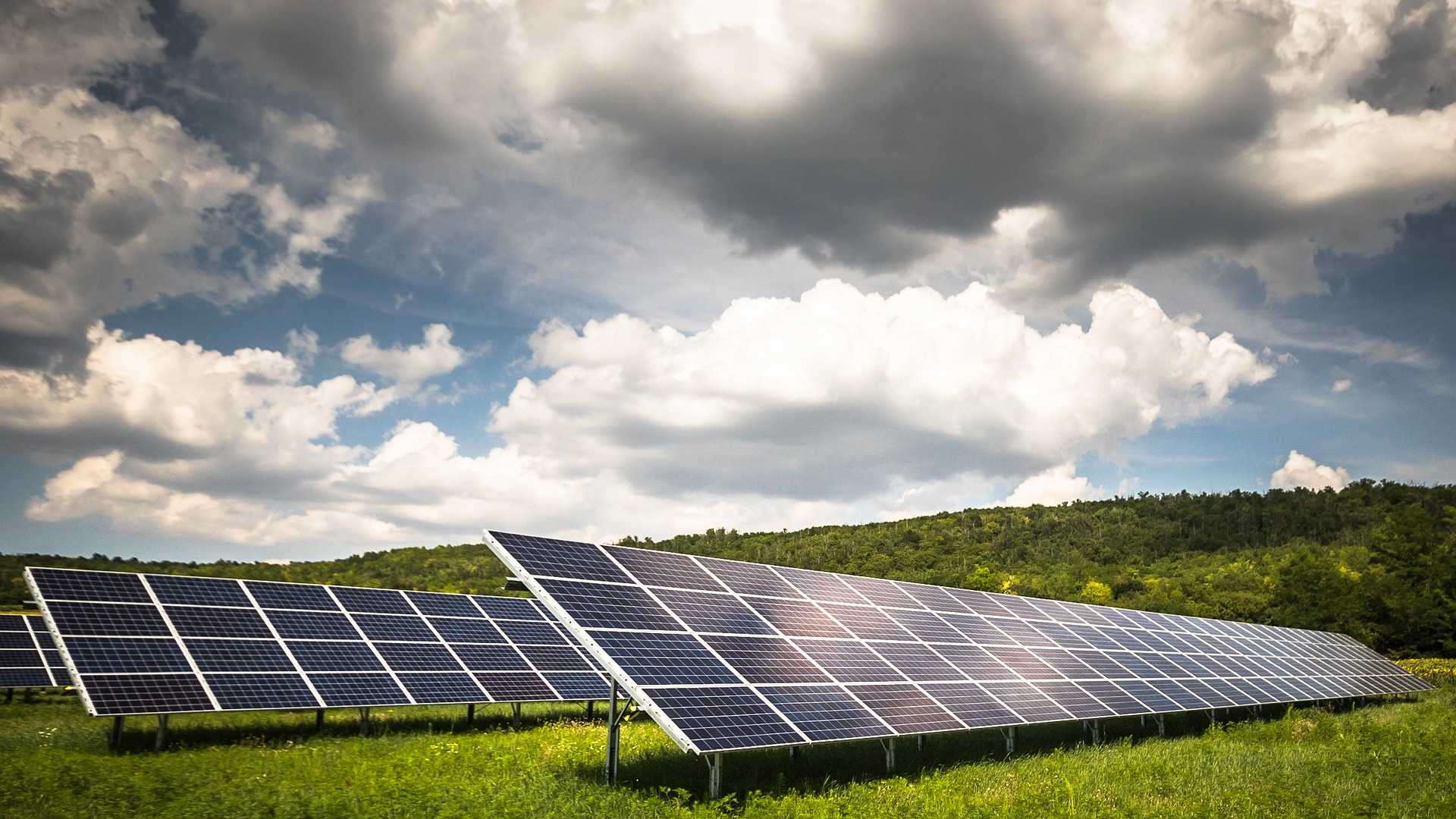 Ebrard presenta a diplomáticos extranjeros el enorme, nuevo parque de energía solar