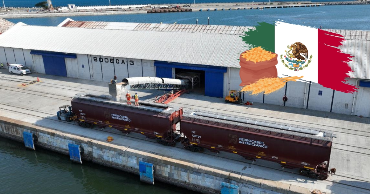 El Ferrocarril del Istmo de Tehuantepec (FIT) realizó su primer traslado de 2 mil toneladas de grano de trigo