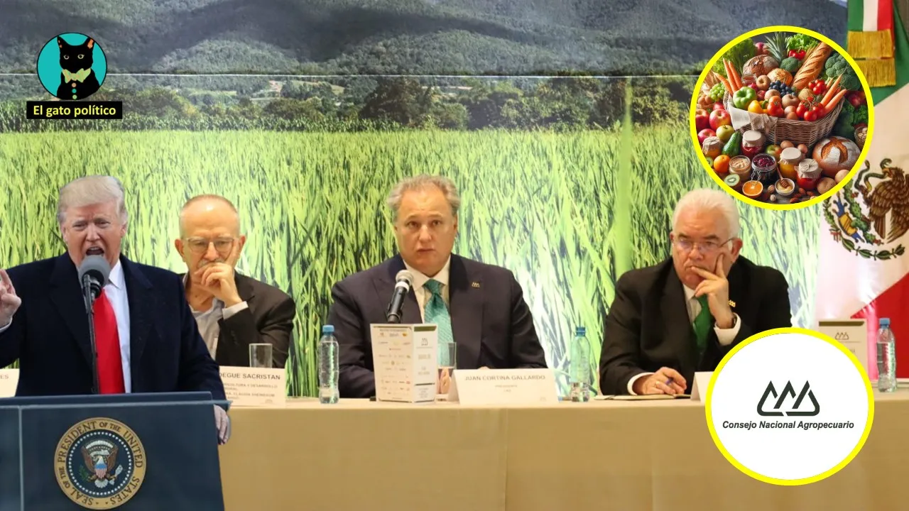 Estadounidenses pagarán más por los alimentos gracias a los aranceles de Trump, advierte CNA